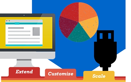 Extend, customize, scale Extend, Customize, Scale, RMH